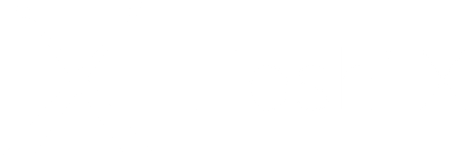Hoshi X Digital Design